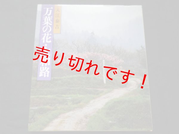 画像1: 万葉の花・大和路　入江泰吉 (1)