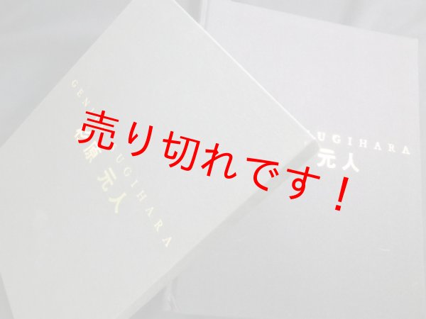 画像1: 杉原元人―画集　美術年鑑社 (1)