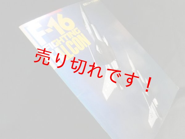 画像1: 航空ジャーナル別冊　F-16 FIGHTING FALCON　青木日出雄編 (1)