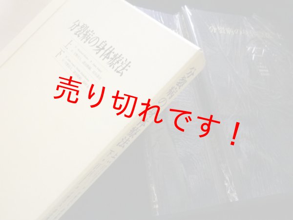 画像1: 分裂病の身体療法　上下2冊揃　Jules Angst他/宇野昌人他訳 (1)