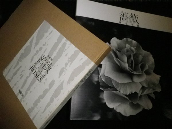 画像1: 写真集　薔薇　津志本貞 (1)