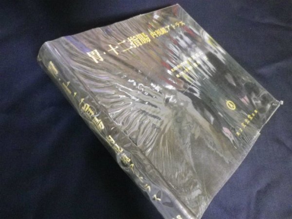 画像1: 胃・十二指腸―内視鏡アトラス　芦沢真六 他 (1)