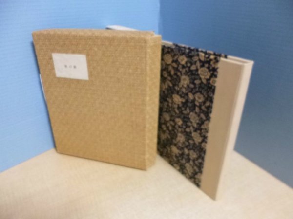 画像1: 秋の眼　宇佐見英治 (1)