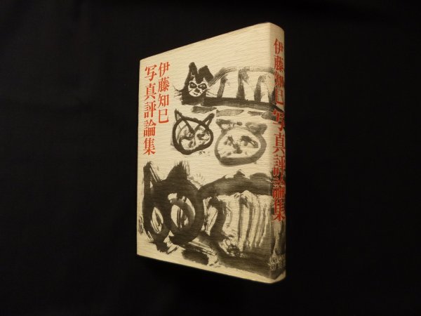 画像1: 伊藤知巳 写真評論集　伊藤知巳 (1)