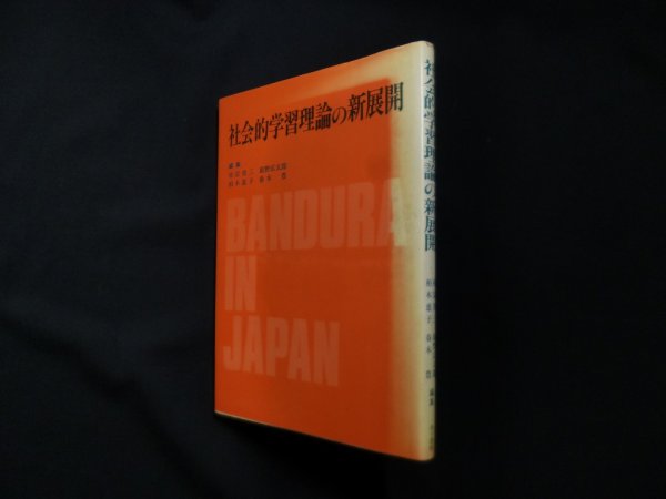 画像1: 社会的学習理論の新展開　祐宗省三 他編 (1)