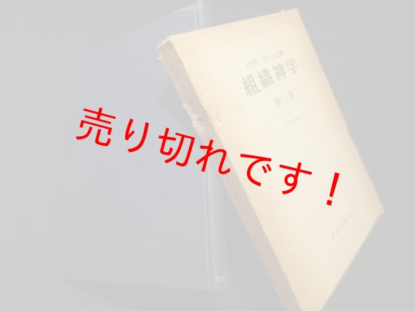画像1: 組織神学 第2巻　パウル・ティリッヒ/谷口美智雄 訳 (1)