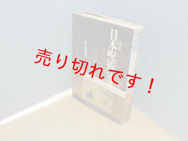 画像1: 図説 日本呪術全書　豊島泰国 (1)