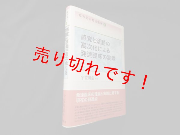 画像1: 感覚と運動の高次化による発達臨床の実際（障害児の発達臨床2）　宇佐川浩 (1)