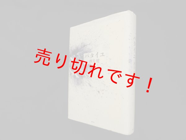 画像1: バタイユ　酒井健 (1)