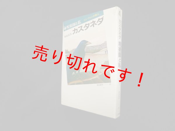 画像1: 呪術師と私―ドン・ファンの教え　カルロス・カスタネダ/真崎義博 訳 (1)