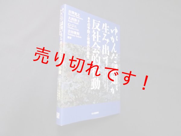 画像1: ゆがんだ認知が生み出す反社会的行動―その予防と改善の可能性　吉澤寛之 他 (1)