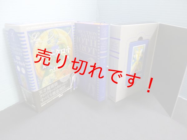 画像1: 決定版 トート・タロット入門 (エルブックス・シリーズ)　ヘイズ中村 (1)