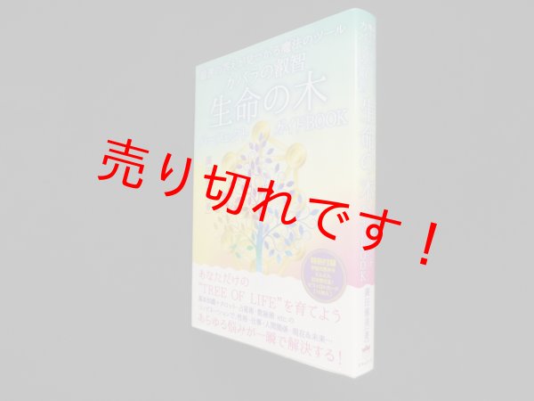 画像1: カバラの叡智 生命の木パーフェクトガイドBOOK　廣田雅美 (1)