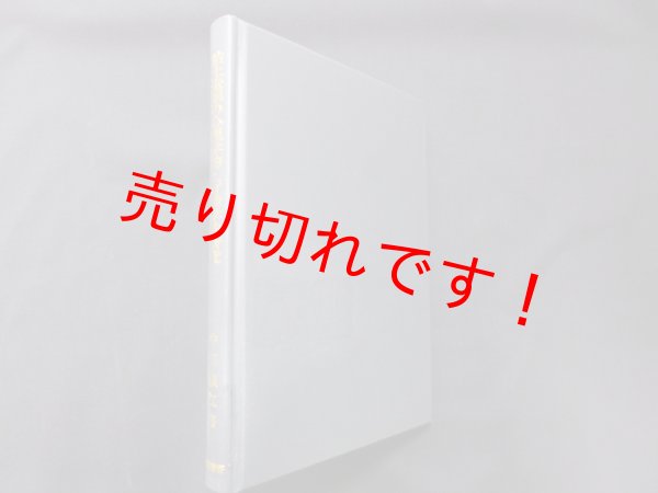 画像1: 粘土造形の心理学的・行動学的研究―ヒト幼児およびチンパンジーの粘土遊び　中川織江 (1)