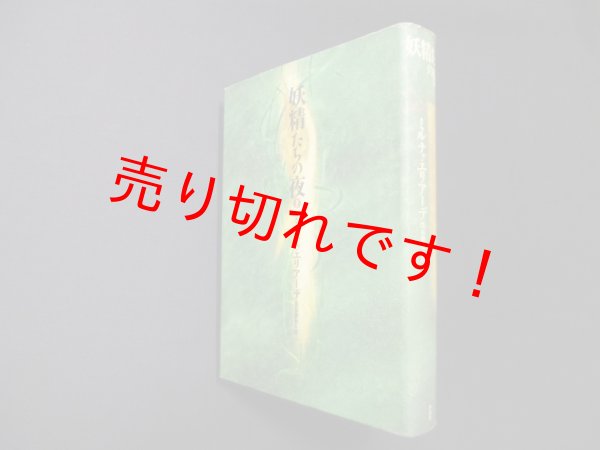 画像1: 妖精たちの夜〈1〉ミルチャ・エリアーデ/住谷春也 訳 (1)