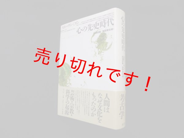 画像1: 心の先史時代　スティーヴン・ミズン/松浦俊輔 他訳 (1)