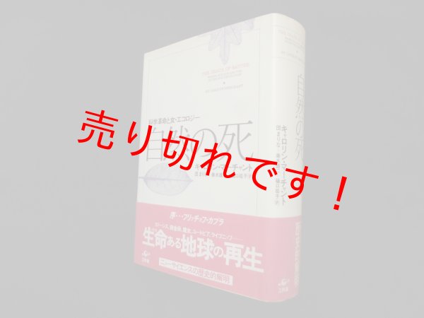 画像1: 自然の死―科学革命と女・エコロジー　キャロリン・マーチャント/団まりな 他訳 (1)