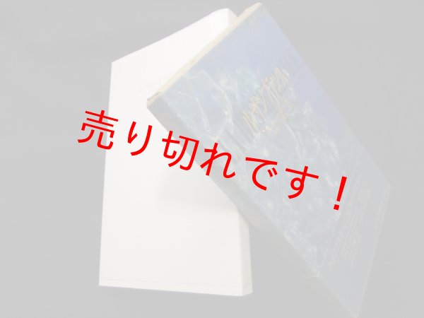 画像1: ルサンブランス　ピエール・クロソフスキー/清水正 他訳 (1)