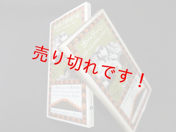 画像1: 人面の大岩(バベルの図書館 3)　ナサニエル・ホーソーン/酒本雅之 他訳 (1)