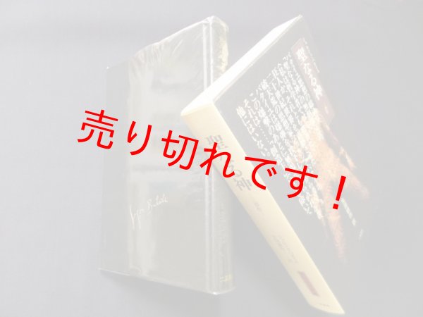 画像1: 聖なる神　三部作　ジョルジュ・バタイユ/生田耕作 (1)