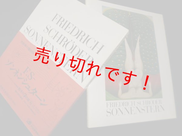 画像1: F.S ゾンネンシュターン (シュルレアリスムと画家叢書 骰子の7の目 6)　種村季弘 (1)