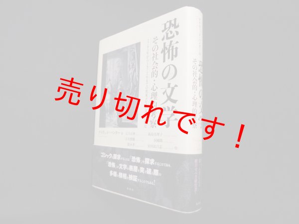 画像1: 恐怖の文学―その社会的・心理的考察 1765年から1872年までの英米ゴシック文学の歴史　デイヴィッド・パンター/石月正伸 他訳 (1)