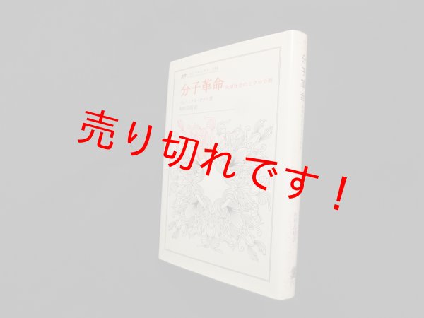 画像1: 分子革命―欲望社会のミクロ分析 (叢書・ウニベルシタス)　フェリックス・ガタリ/杉村昌昭 訳 (1)