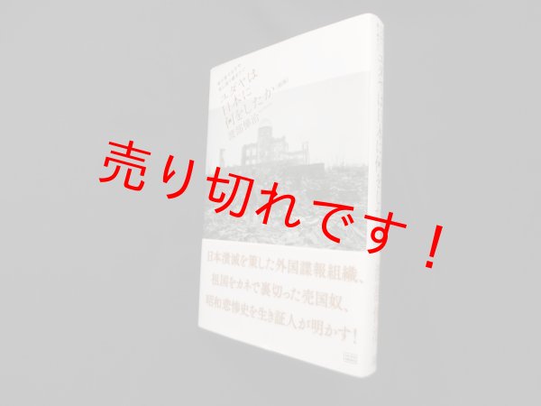画像1: ユダヤは日本に何をしたか　我が愛する子や孫に語り継ぎたい　新版　渡部悌治 (1)