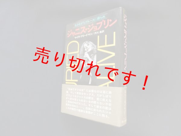 画像1: 知った気でいるあなたのための構造主義方法論入門　高田明典 (1)