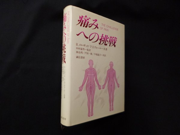 画像1: 痛みへの挑戦　R.メルザツク 他/中村嘉男 監訳 (1)