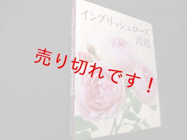 画像1: イングリッシュローズ図鑑(GAIA BOOKS)　デビッド オースチン/平岡誠 編 (1)