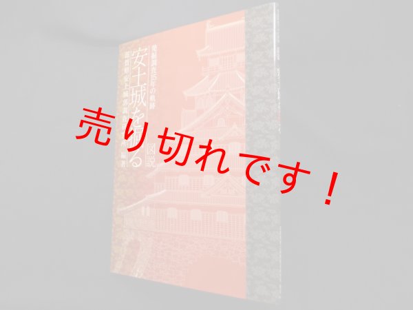 画像1: 図説 安土城を掘る―発掘調査15年の軌跡　滋賀県安土城郭調査研究所 (1)