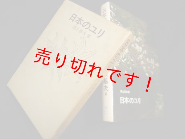画像1: 日本のユリ　清水基夫 (1)