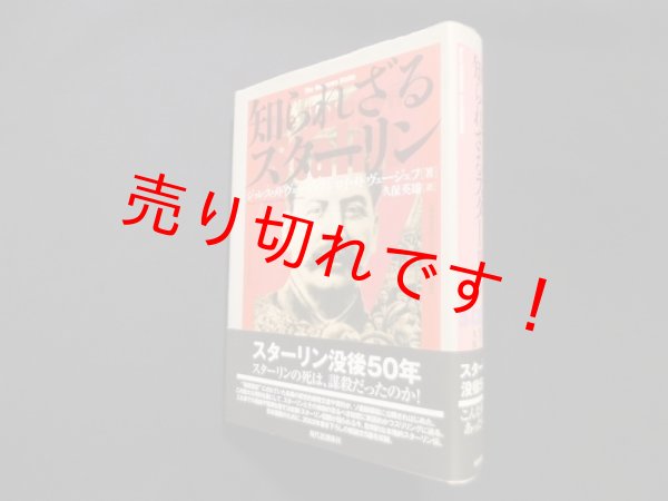 画像1: 知られざるスターリン　ジョレス・メドヴェージェフ 他/久保英雄 訳 (1)