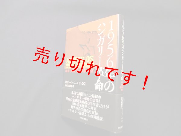 画像1: 1956年のハンガリー革命―改革・蜂起・自由闘争・報復　リトヴァーン・ジェルジェ 編/田代文雄 訳 (1)