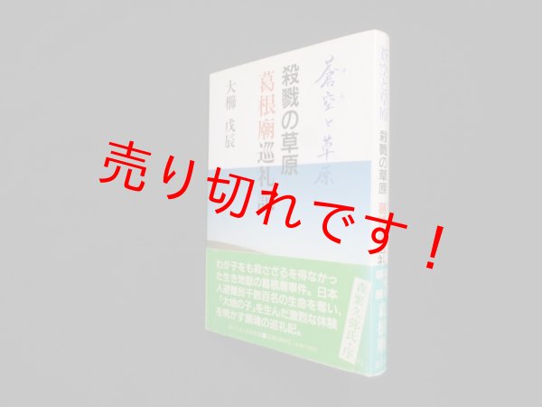 画像1: 蒼空(そら)と草原―殺戮の草原葛根廟巡礼記　大櫛戊辰 (1)
