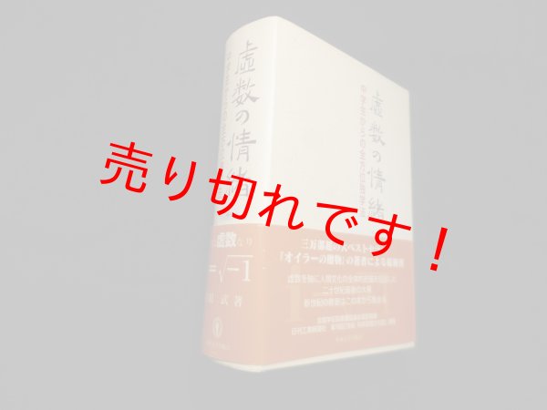画像1: 虚数の情緒　中学生からの全方位独学法　吉田武 (1)