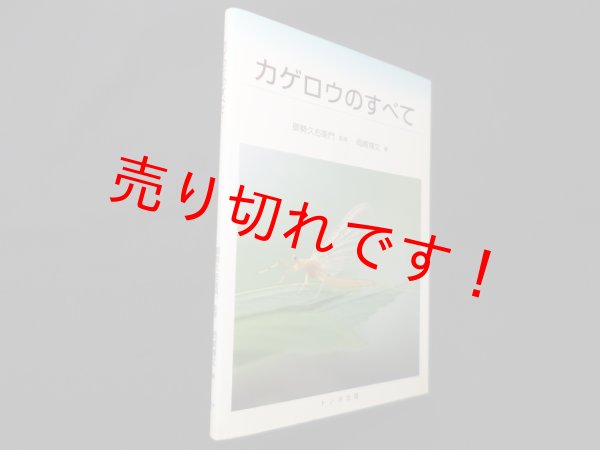 画像1: カゲロウのすべて　岡崎博文 (1)
