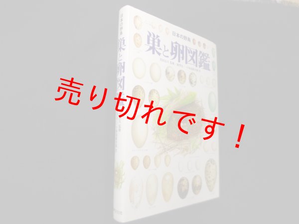 画像1: 日本の野鳥 巣と卵図鑑　黒田長久 監修/柿澤亮三 他 (1)