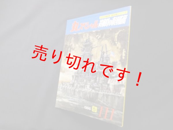 画像1: 丸スペシャル　111　終戦時の帝国艦艇（太平洋戦争海空戦シリーズ） (1)