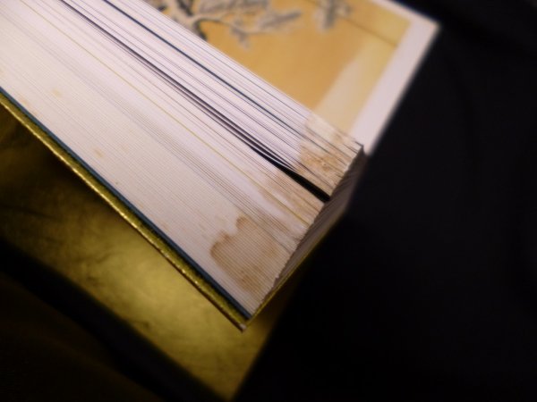 画像2: 特別展　丸山応挙　 創造への挑戦　大阪市立美術館 他編 (2)