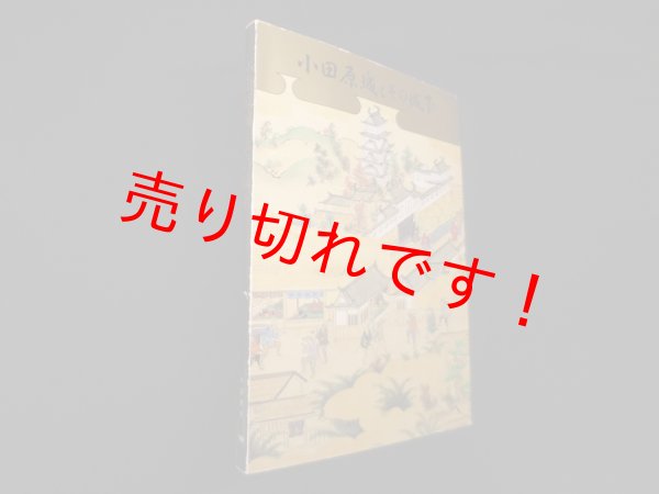 画像1: 小田原城とその城下(図録)　小田原市教育委員会 編 (1)