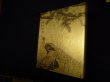 画像1: 特別展　丸山応挙　 創造への挑戦　大阪市立美術館 他編 (1)