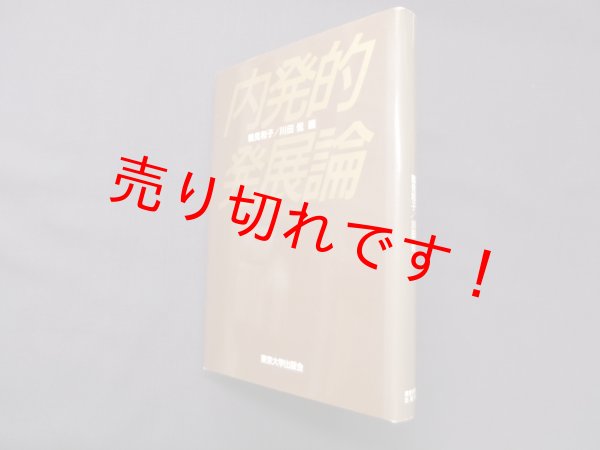 画像1: 内発的発展論　鶴見和子/川田侃 編 (1)