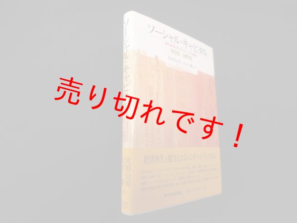 画像1: ソーシャル・キャピタル―現代経済社会のガバナンスの基礎　宮川公男 他編 (1)