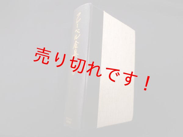 画像1: フレーベル全集 第4巻　幼稚園教育学　小原國芳 他監修 (1)