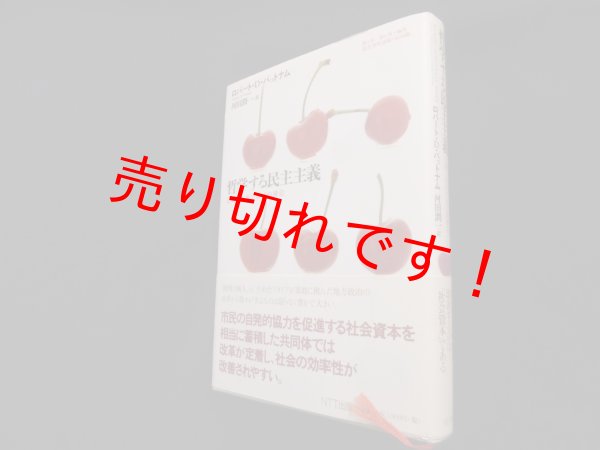 画像1: 哲学する民主主義―伝統と改革の市民的構造　ローバート.D.パットナム/河田潤一 訳 (1)