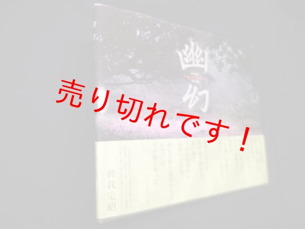 画像1: 幽幻―伊豆天城 情念の森 forest of emotions (1)