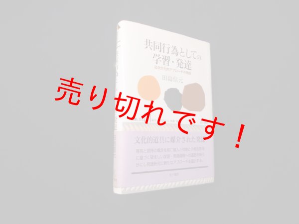 画像1: 共同行為としての学習・発達　社会文化的アプローチの視座　田島信元 (1)