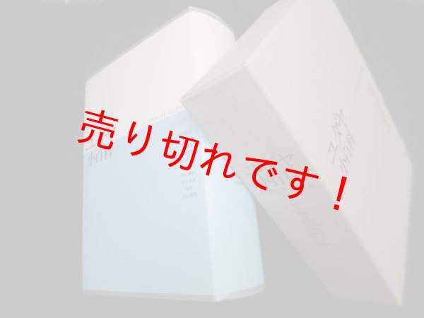 画像1: ユダヤ小百科　ユーリウス・H・シェプス 編/石田基広 他訳 (1)